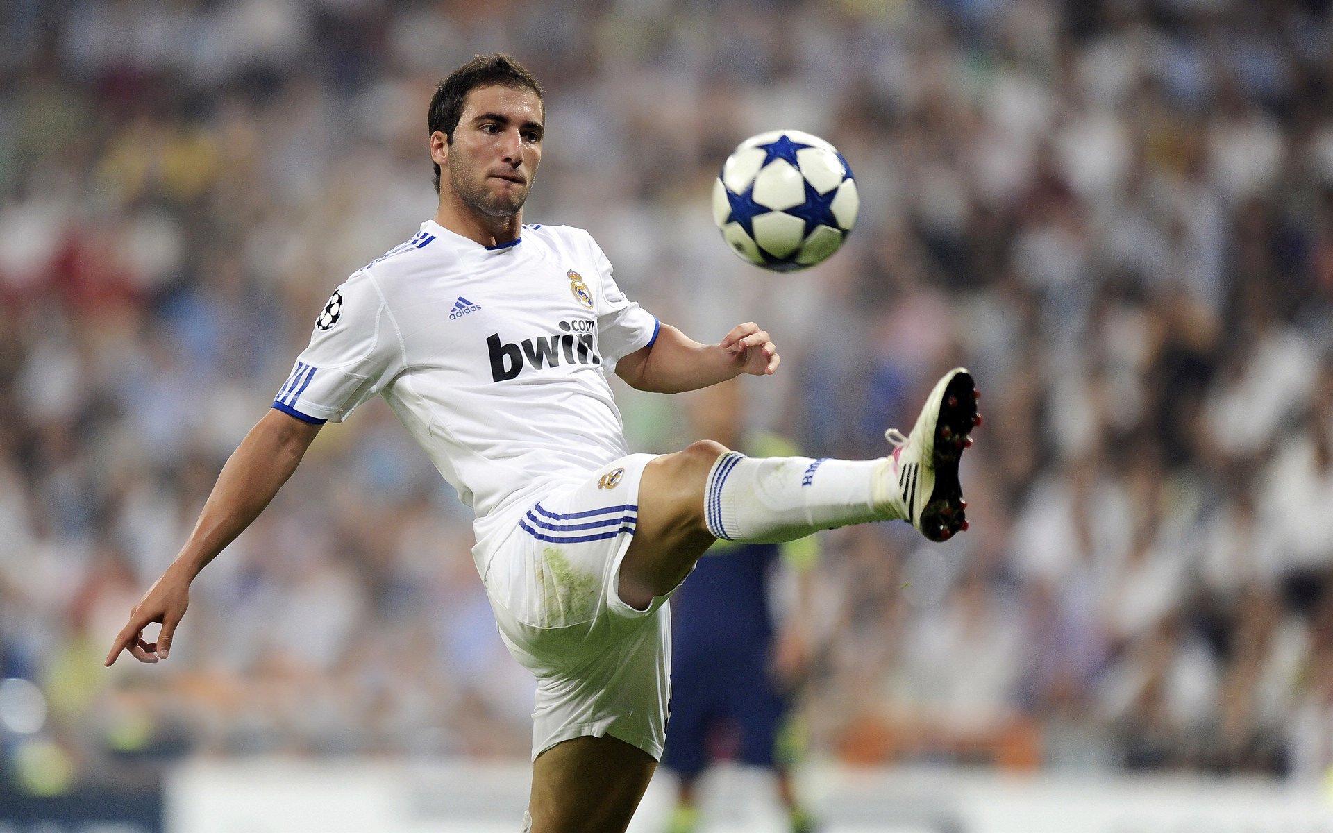 《社区互动:粉丝投票选出最喜爱的战队》,最聚合的粉丝社区平台